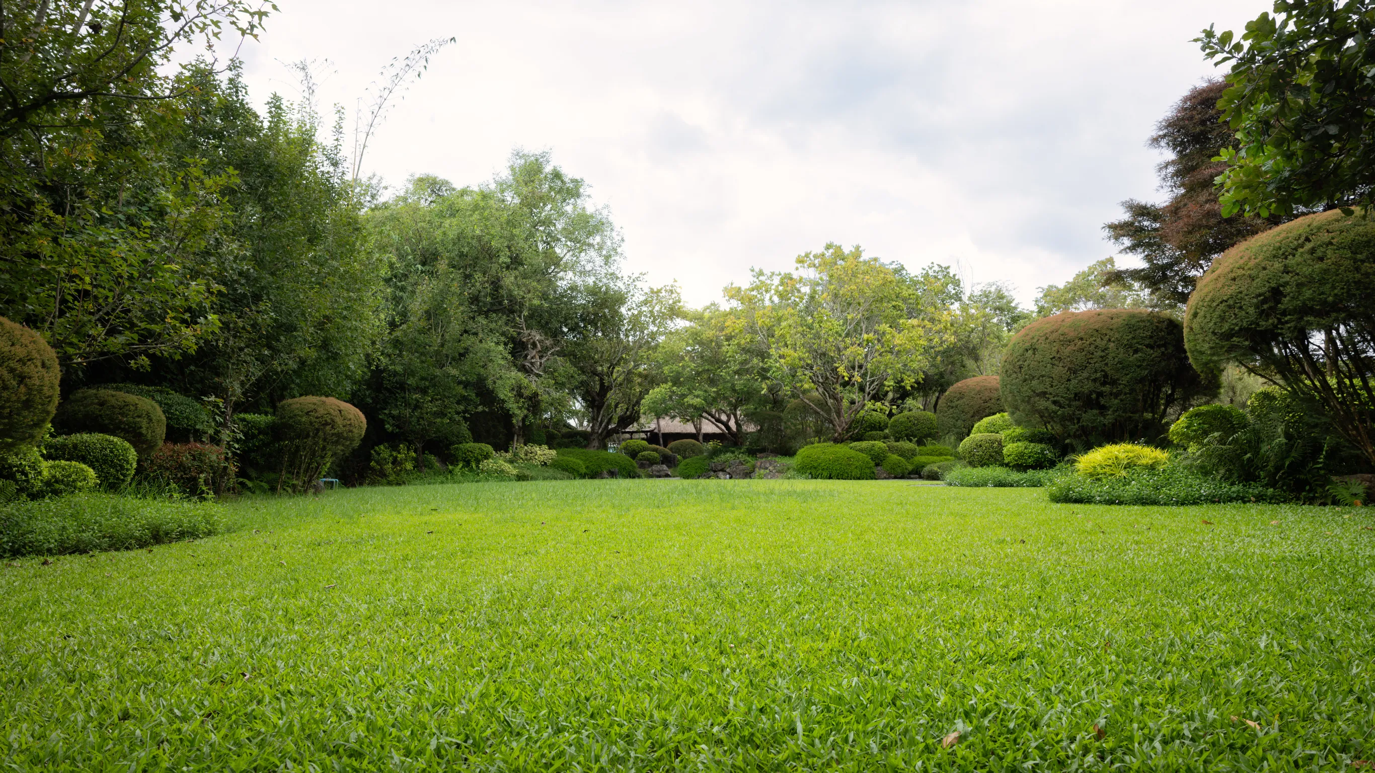 Before image of a Los Angeles ADU builders project showing an empty landscaped yard with green lawn, mature trees, and open space before ADU construction